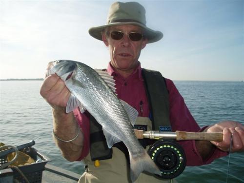 Summer sport ... 60 Bass on a 4 weight!, 2007
