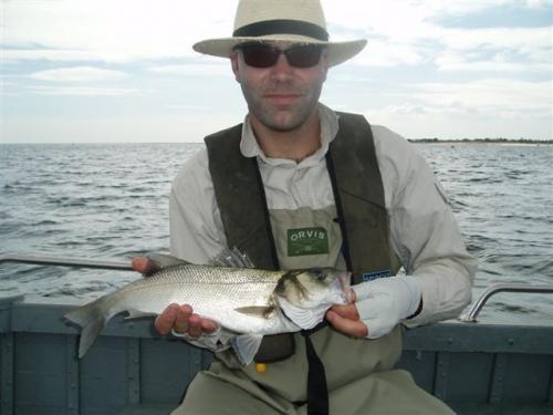 Ben Young getting amongst the Sea Wolves in September ..., 2007