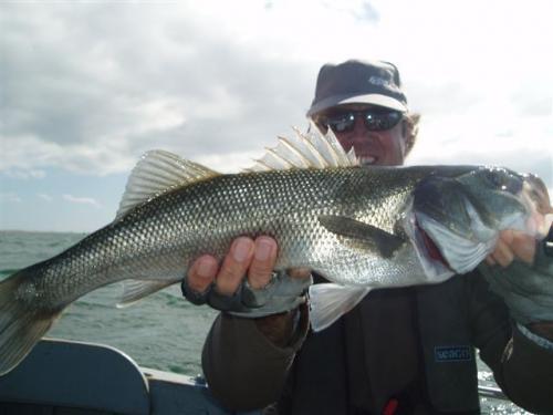 Taking 7 Bass over the session (July 14th) on Neaps.., 2008