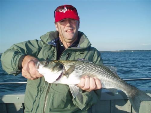 Toby Baines getting pulled in mid July!.., 2008