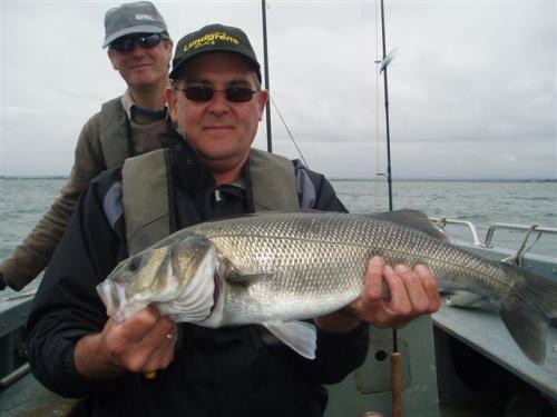 Deceived by its own aggression - well done Simon Turner., 2008