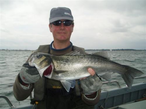 28 meters in two strips, stop and draw, easier said than done!, 2008