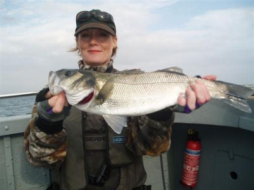 Brilliant work load Foxy - congratulations., 2008