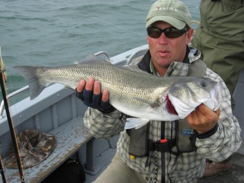 20 years of fight.... pure platinum., 2009