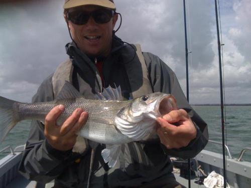 And again ...., 2009