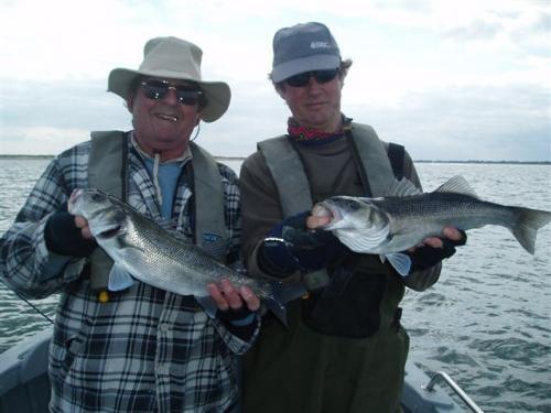 The early arrivals for 2010, 2010