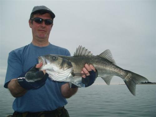 Perfect timing on the Ebb,,,, 2010