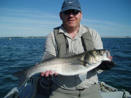 Blue skies, big black flies... well done Pete., 2010