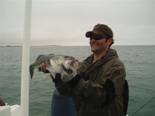 One of 12 on a misty August day for Dan Merritt..., 2010