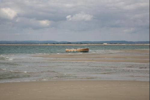 Bring on the flood....., 2010
