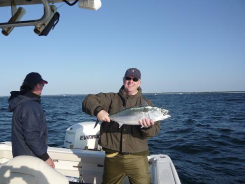 Nice Albie Pat..., USA Trips