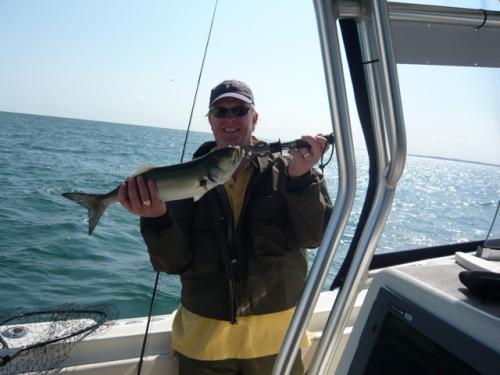 Triple..., USA Trips