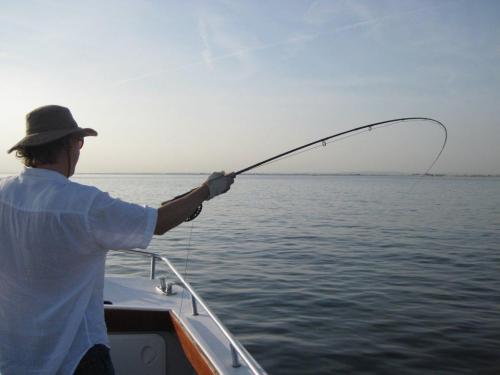 Roland working hard off the coast....., 2011