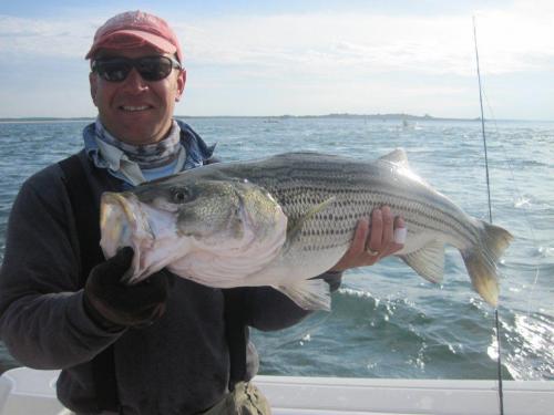 A 36 inch power-house...., USA Trips