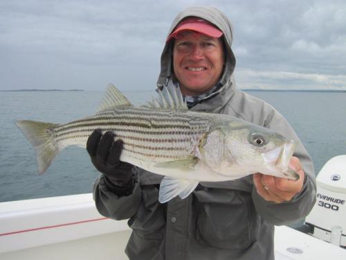 We and windy but the Squid run is on...., USA Trips