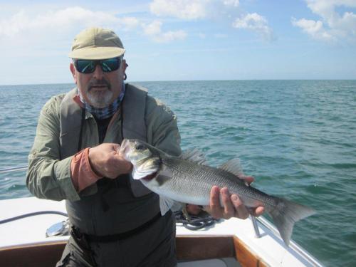 Getting larger for John Mcgill..., 2011