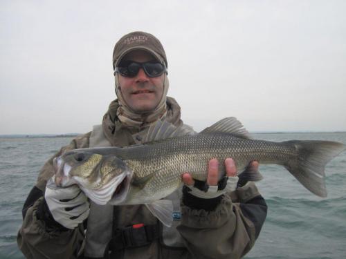 Finishing well with a force 6 on our backs!!, 2011