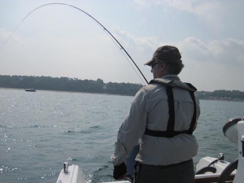 Doubling up..., 2011