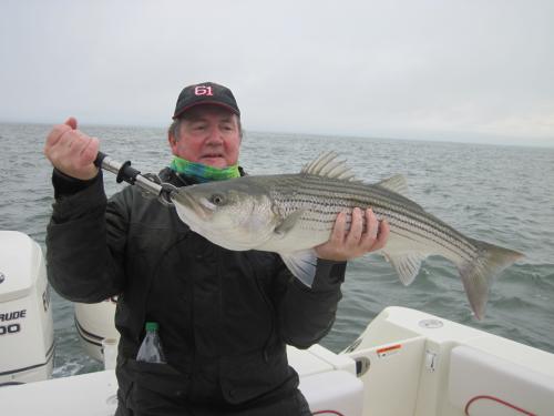 And they keep on coming for Jeremy.... Another good Striper., USA Trips