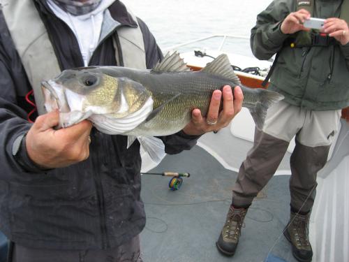 Nice one SJ...., 2012