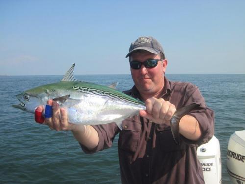 They say F/Albacore are a drug, the only fix being another one on the line!, USA Trips