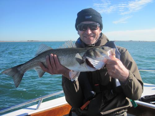 Mid-October Bass for Simon Malby..., 2012