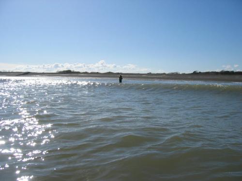 Early May in the surf..., 2004