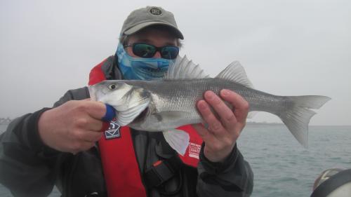 Paul Drake with the 1st fly caught Sea Bass for 2015 - Chilly, 2015