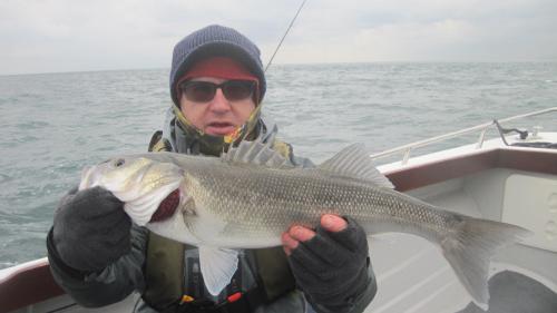 And again, coaxing them on the hook...., 2015
