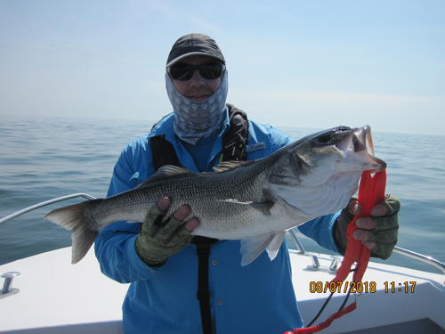 Mines a double please!!!, 2018