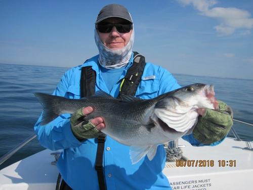 Nice 6lber for Pete, 2018