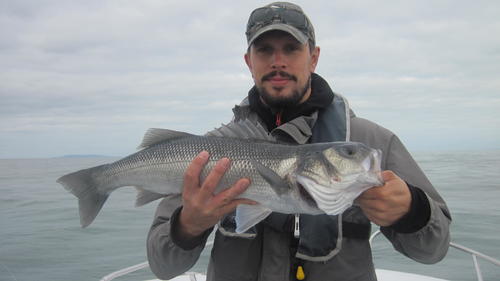 Andrew Bunting popping for England, 2018