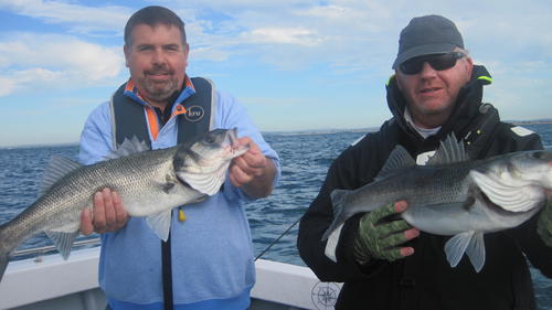 Andy & Pete Simpson working well over the spratt run, 2018