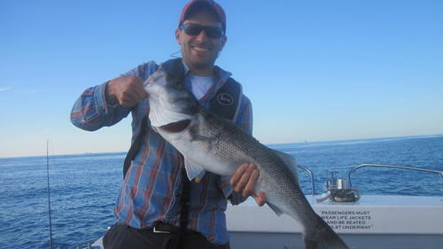 Guy Peters on a first light raid., 2019