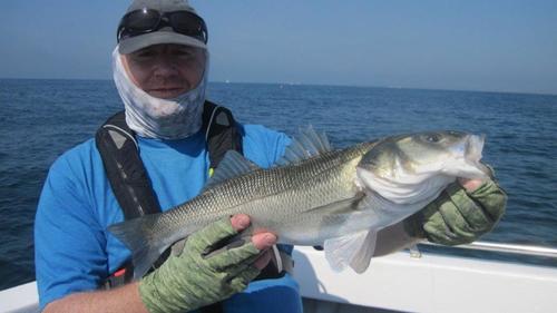 Popping with a GT Icecream!, 2019