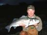 Top of the food chain..., 2004